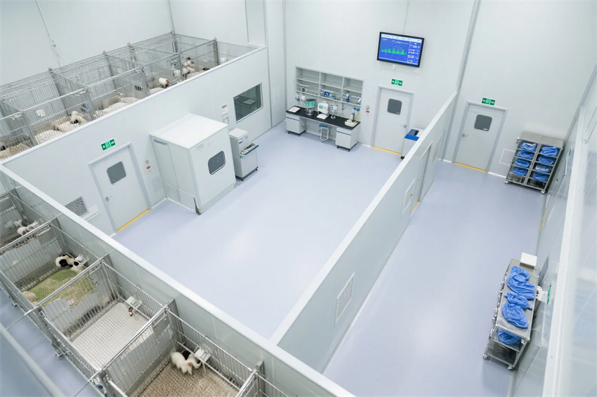 安慶實(shí)驗(yàn)室裝修